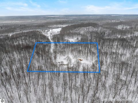 Tiny photo for 6081 Riley Ridge Lane, Thompsonville, MI 49683 (MLS # 1943121)