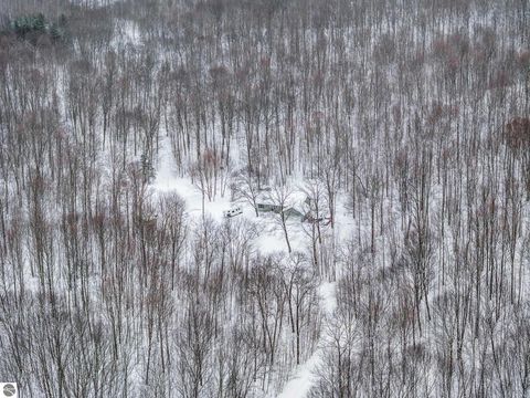 Tiny photo for 6081 Riley Ridge Lane, Thompsonville, MI 49683 (MLS # 1943121)