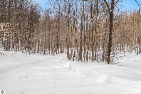 Tiny photo for 6081 Riley Ridge Lane, Thompsonville, MI 49683 (MLS # 1943121)