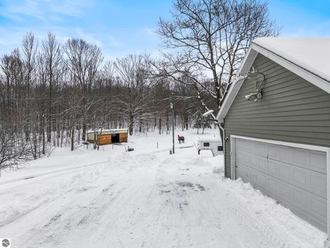 Tiny photo for 6081 Riley Ridge Lane, Thompsonville, MI 49683 (MLS # 1943121)