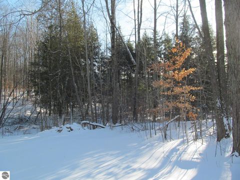 Tiny photo for 17166 50th Avenue, Marion, MI 49665 (MLS # 1941784)