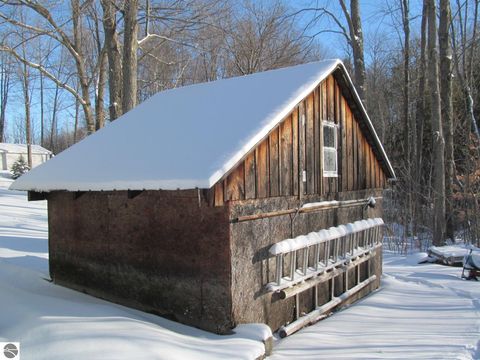 Tiny photo for 17166 50th Avenue, Marion, MI 49665 (MLS # 1941784)