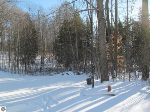 Tiny photo for 17166 50th Avenue, Marion, MI 49665 (MLS # 1941784)