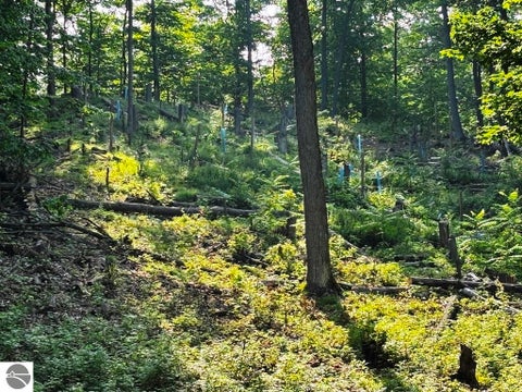 Tiny photo for 10520 S Dalzell Road, Traverse City, MI 49684 (MLS # 1943645)