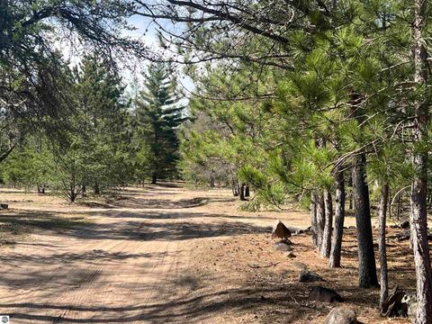 Tiny photo for 9769 Parrot Circle, Fife Lake, MI 49633 (MLS # 1941240)