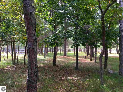 Tiny photo for 9769 Parrot Circle, Fife Lake, MI 49633 (MLS # 1941240)