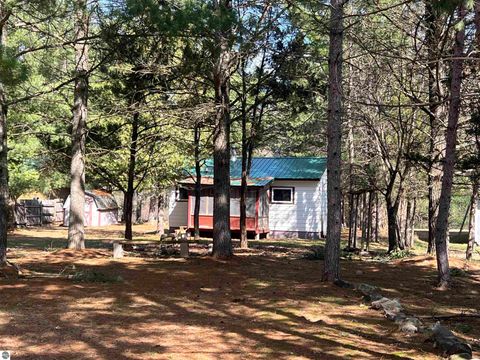 Tiny photo for 9769 Parrot Circle, Fife Lake, MI 49633 (MLS # 1941240)