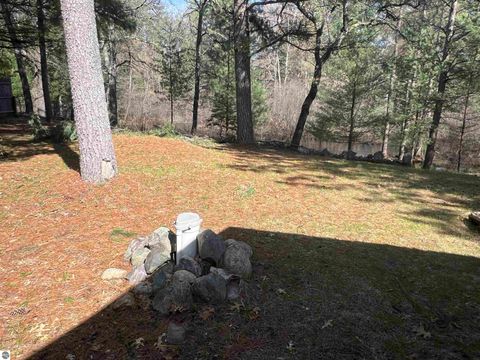 Tiny photo for 9769 Parrot Circle, Fife Lake, MI 49633 (MLS # 1941240)