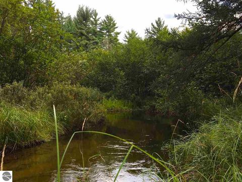 Tiny photo for 9769 Parrot Circle, Fife Lake, MI 49633 (MLS # 1941240)