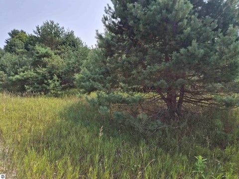 Tiny photo for 10331 Mapleview Drive, Central Lake, MI 49622 (MLS # 1949214)