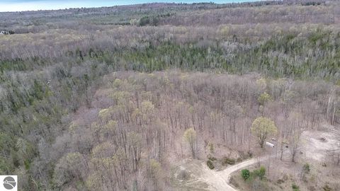 Tiny photo for 00 Kilkenny Lane, Ellsworth, MI 49729 (MLS # 1941968)