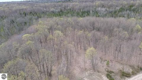 Tiny photo for 00 Kilkenny Lane, Ellsworth, MI 49729 (MLS # 1941968)
