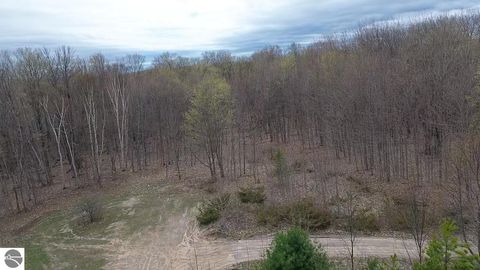 Tiny photo for 00 Kilkenny Lane, Ellsworth, MI 49729 (MLS # 1941968)