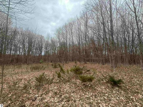 Tiny photo for 00 Kilkenny Lane, Ellsworth, MI 49729 (MLS # 1941968)