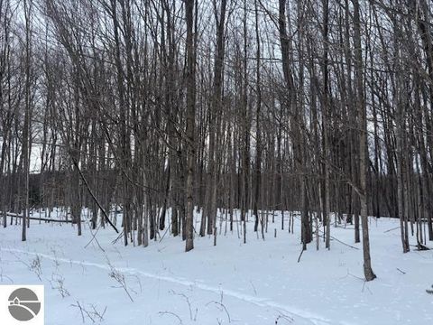 Tiny photo for 00 Kilkenny Lane, Ellsworth, MI 49729 (MLS # 1941968)