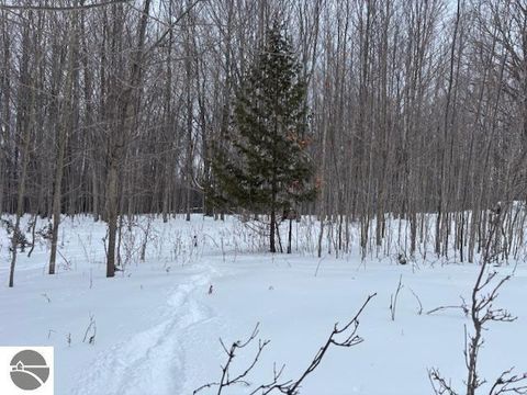 Tiny photo for 00 Kilkenny Lane, Ellsworth, MI 49729 (MLS # 1941968)