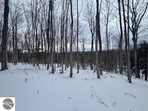Photo of 00 Kilkenny Lane, Ellsworth, MI 49729 (MLS # 1941968)
