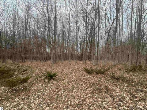 Tiny photo for 00 Kilkenny Lane, Ellsworth, MI 49729 (MLS # 1941968)