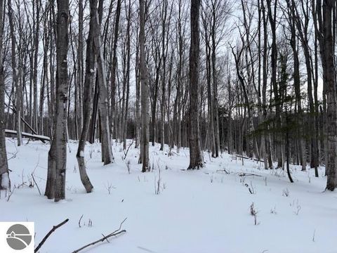 Tiny photo for 00 Kilkenny Lane, Ellsworth, MI 49729 (MLS # 1941968)