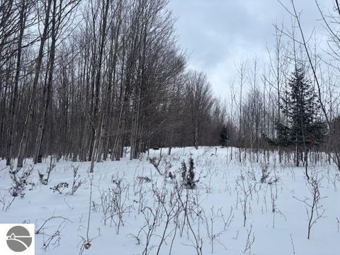 Tiny photo for 00 Kilkenny Lane, Ellsworth, MI 49729 (MLS # 1941968)