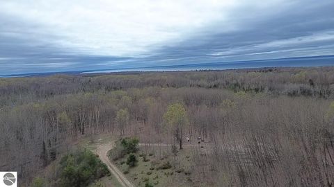 Tiny photo for 00 Kilkenny Lane, Ellsworth, MI 49729 (MLS # 1941968)