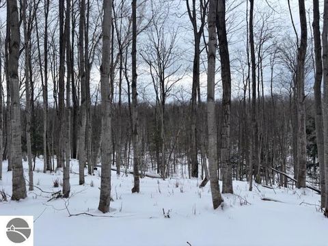 Tiny photo for 00 Kilkenny Lane, Ellsworth, MI 49729 (MLS # 1941968)