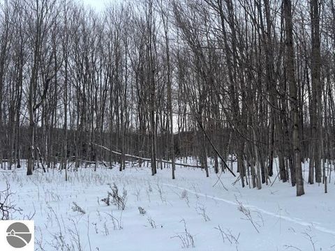 Tiny photo for 00 Kilkenny Lane, Ellsworth, MI 49729 (MLS # 1941968)
