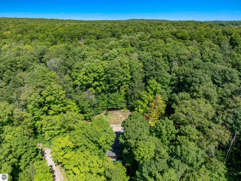 Tiny photo for 655 S East Torch Lake Drive, Bellaire, MI 49615 (MLS # 1948801)