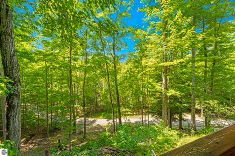 Tiny photo for 655 S East Torch Lake Drive, Bellaire, MI 49615 (MLS # 1948801)