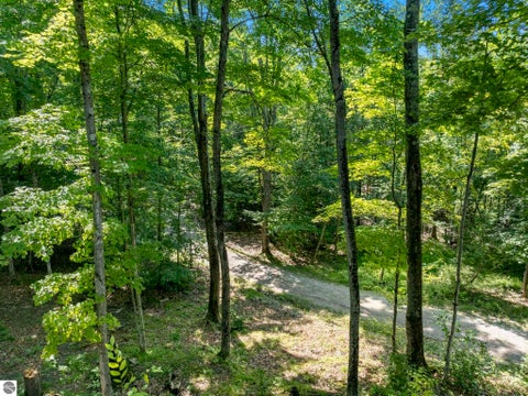 Tiny photo for 655 S East Torch Lake Drive, Bellaire, MI 49615 (MLS # 1948801)