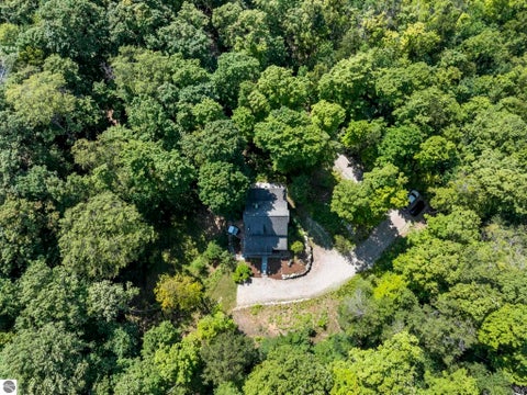 Tiny photo for 655 S East Torch Lake Drive, Bellaire, MI 49615 (MLS # 1948801)