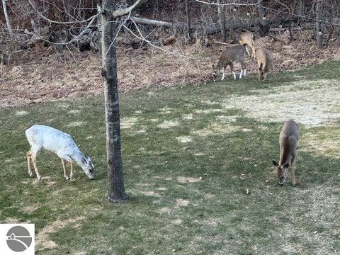 Tiny photo for 3863 Falling Leaf Trail #A7, Traverse City, MI 49686 (MLS # 1945436)