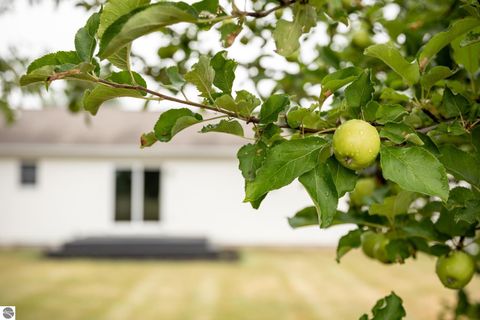 Tiny photo for 12305 S Lincoln Hollow Court, Cedar, MI 49621 (MLS # 1941928)