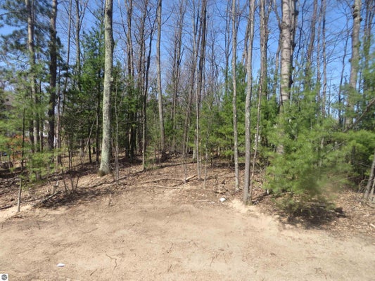 4181 MAPLE HILL RD, GRAWN, MI 49637 - Image ae87b68275312dd34386d2f9d595e2db/978566205