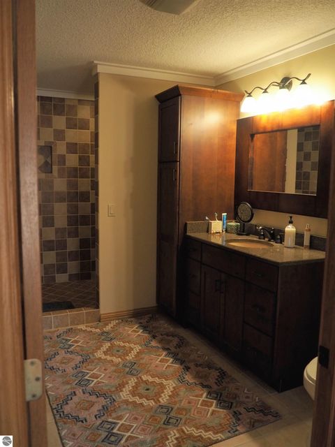 Tiny photo for 1584 W Chapman Road, Mt Pleasant, MI 48858 (MLS # 1941625)