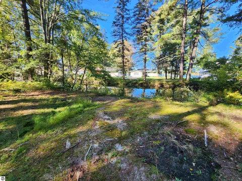 Tiny photo for 5611 NE East Shore Drive, Kalkaska, MI 49646 (MLS # 1940252)