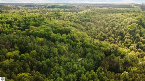 Tiny photo for 4834 Williamsburg Road, Williamsburg, MI 49690 (MLS # 1945872)