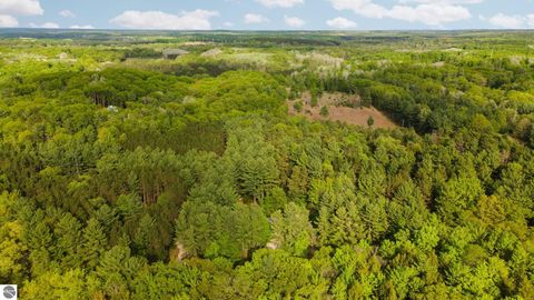 Tiny photo for 4834 Williamsburg Road, Williamsburg, MI 49690 (MLS # 1945872)