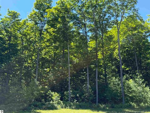 Tiny photo for 9233 NE Covert Road, Mancelona, MI 49659 (MLS # 1946990)