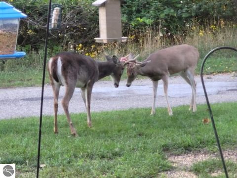 Tiny photo for 211 Bluff Avenue, Eastlake, MI 49626 (MLS # 1943060)