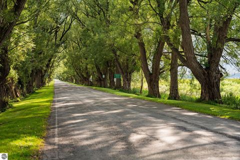 Tiny photo for 211 Bluff Avenue, Eastlake, MI 49626 (MLS # 1943060)