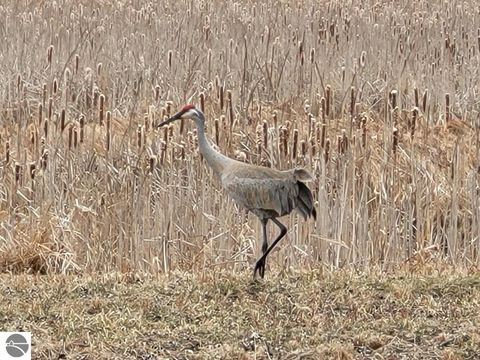 Tiny photo for 211 Bluff Avenue, Eastlake, MI 49626 (MLS # 1943060)