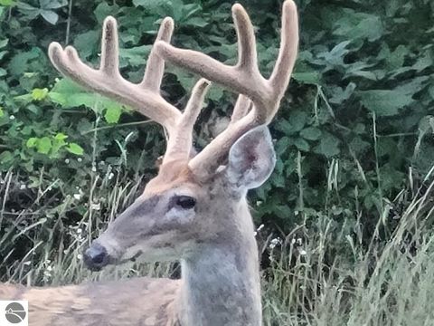 Tiny photo for 211 Bluff Avenue, Eastlake, MI 49626 (MLS # 1943060)