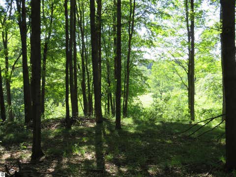 Tiny photo for 126 W Ridge Circle, Leroy, MI 49655 (MLS # 1948240)