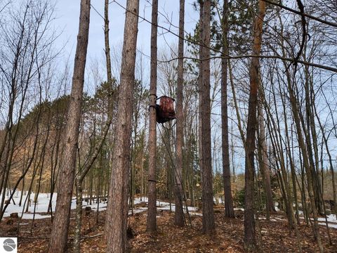 Tiny photo for 4714 Golden Road, SE, Kalkaska, MI 49646 (MLS # 1943386)