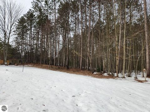 Tiny photo for 4714 Golden Road, SE, Kalkaska, MI 49646 (MLS # 1943386)