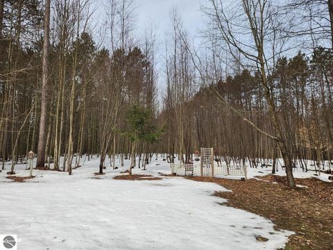 Tiny photo for 4714 Golden Road, SE, Kalkaska, MI 49646 (MLS # 1943386)