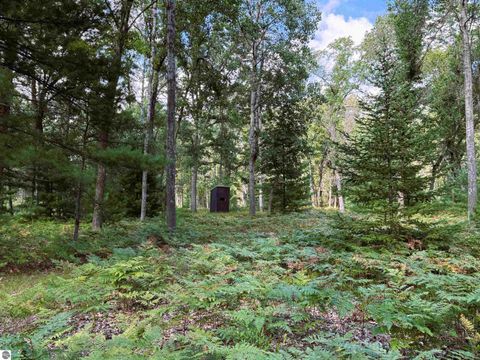 Tiny photo for 4736 Sparton Road, National City, MI 48748 (MLS # 1948277)