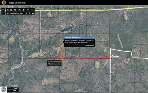 Tiny photo for 4736 Sparton Road, National City, MI 48748 (MLS # 1948277)