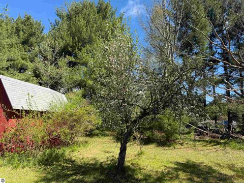 Tiny photo for 6296 Reynolds Road, Lake Ann, MI 49650 (MLS # 1945642)